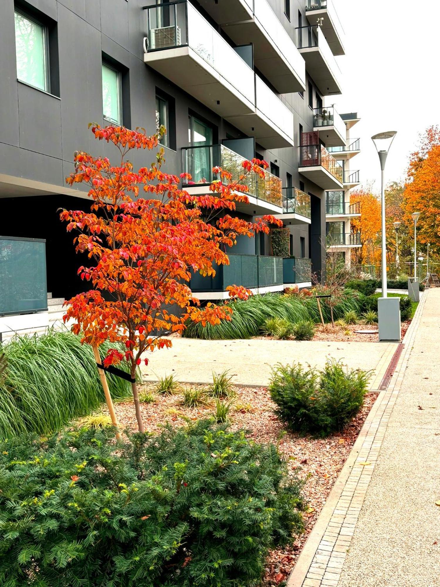 Prime Time Apartament - 24H Check -In - Parking W Cenie Wroclaw Exterior photo